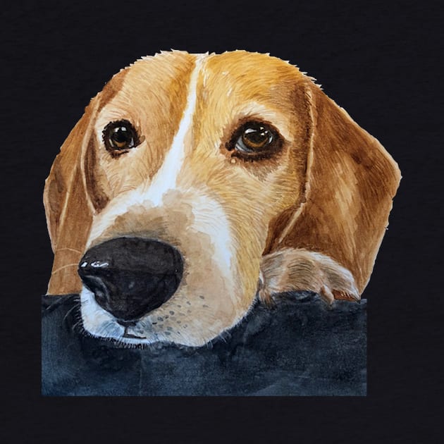 Beagle Portrait Watercolor by MMcBuck